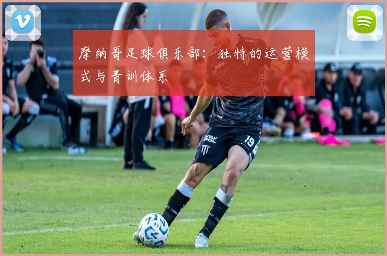 摩纳哥足球俱乐部：独特的运营模式与青训体系